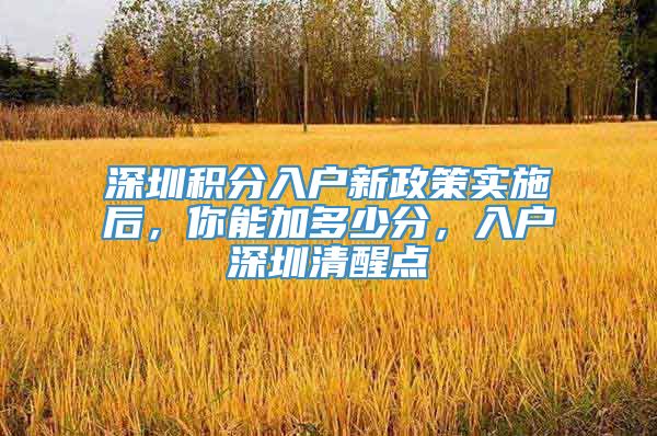 深圳积分入户新政策实施后，你能加多少分，入户深圳清醒点