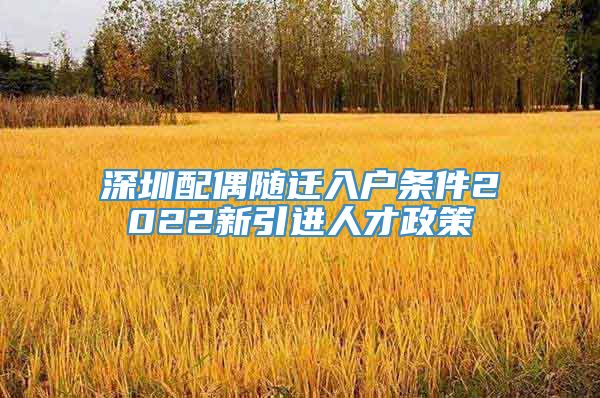 深圳配偶随迁入户条件2022新引进人才政策