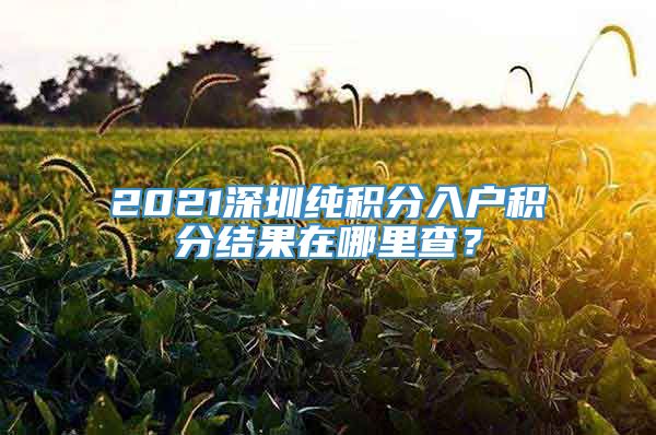 2021深圳纯积分入户积分结果在哪里查？