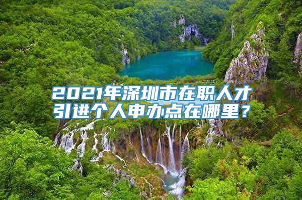 2021年深圳市在职人才引进个人申办点在哪里？