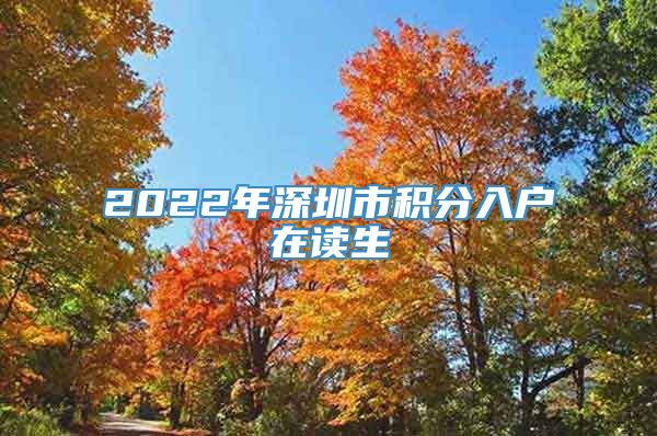 2022年深圳市积分入户在读生