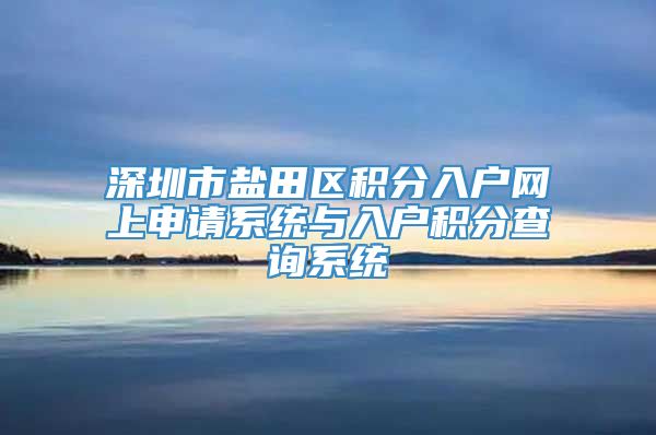 深圳市盐田区积分入户网上申请系统与入户积分查询系统