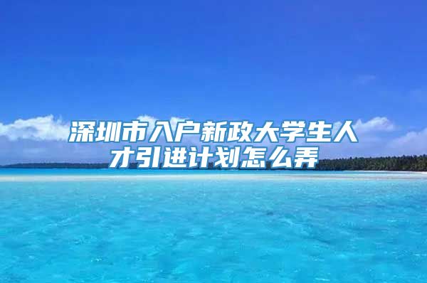 深圳市入户新政大学生人才引进计划怎么弄