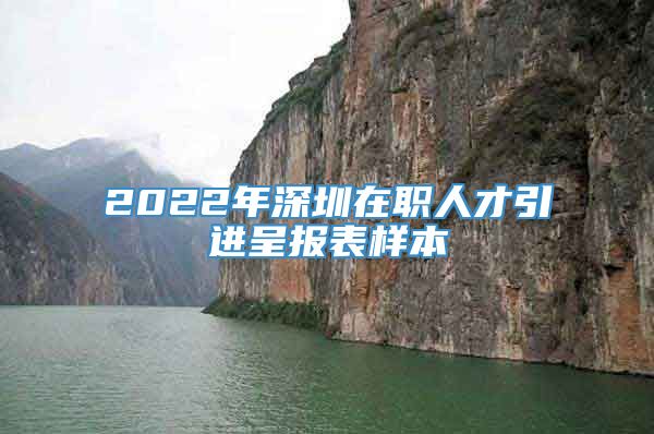 2022年深圳在职人才引进呈报表样本