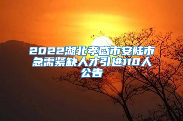 2022湖北孝感市安陆市急需紧缺人才引进110人公告