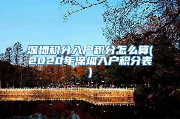 深圳积分入户积分怎么算(2020年深圳入户积分表)