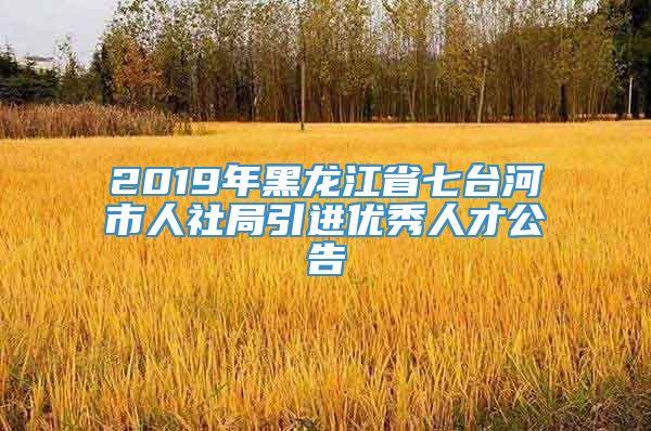 2019年黑龙江省七台河市人社局引进优秀人才公告