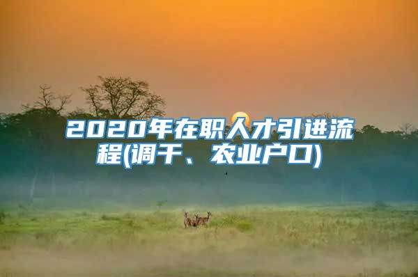 2020年在职人才引进流程(调干、农业户口)