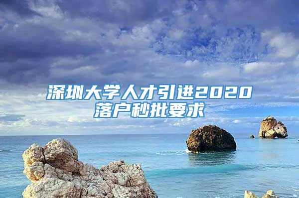 深圳大学人才引进2020落户秒批要求