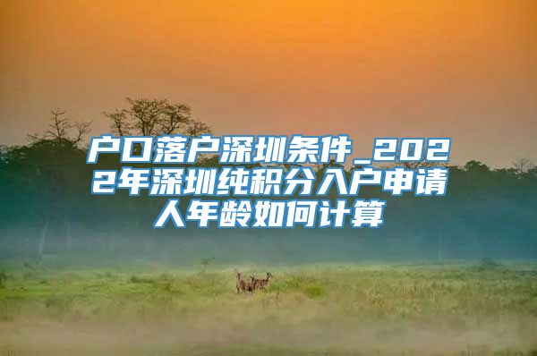 户口落户深圳条件_2022年深圳纯积分入户申请人年龄如何计算