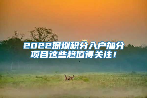 2022深圳积分入户加分项目这些趋值得关注！