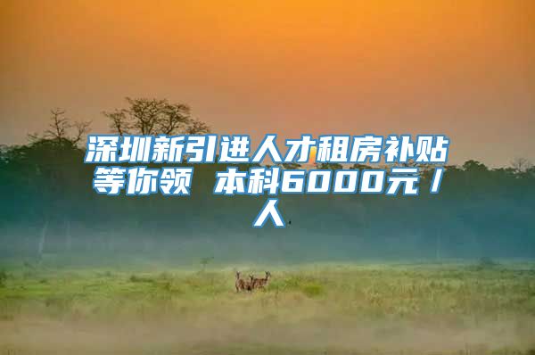 深圳新引进人才租房补贴等你领 本科6000元／人