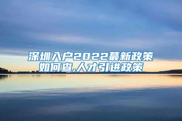 深圳入户2022蕞新政策如何查,人才引进政策