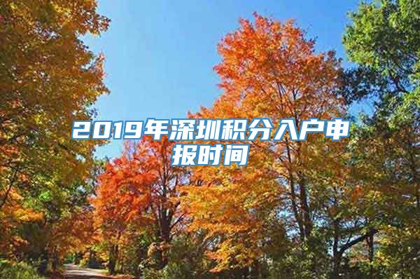 2019年深圳积分入户申报时间