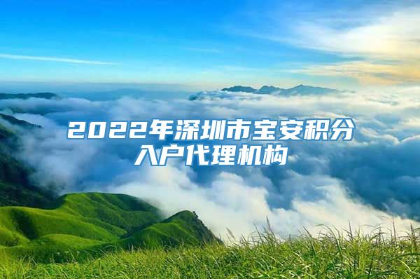 2022年深圳市宝安积分入户代理机构
