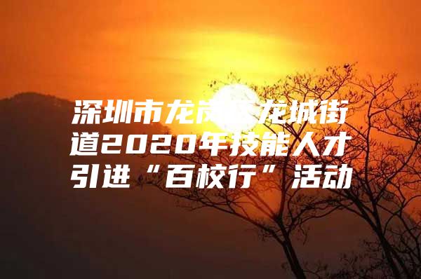 深圳市龙岗区龙城街道2020年技能人才引进“百校行”活动