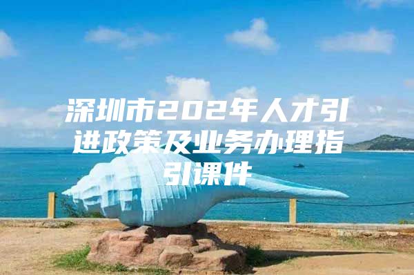 深圳市202年人才引进政策及业务办理指引课件