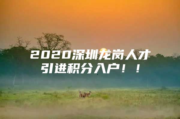 2020深圳龙岗人才引进积分入户！！