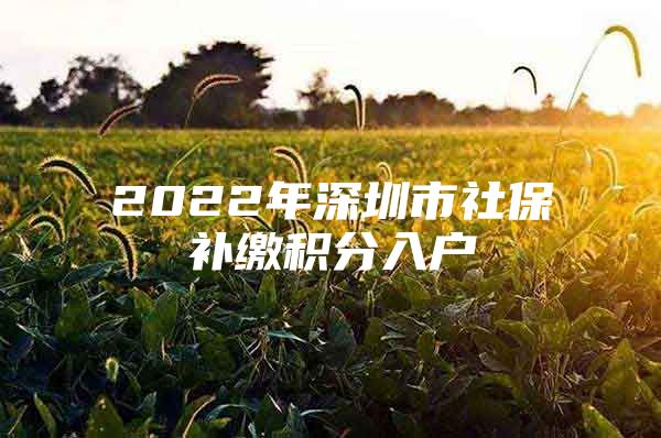 2022年深圳市社保补缴积分入户