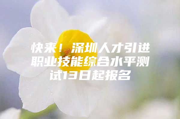 快来！深圳人才引进职业技能综合水平测试13日起报名