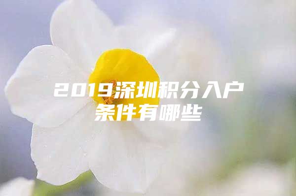 2019深圳积分入户条件有哪些