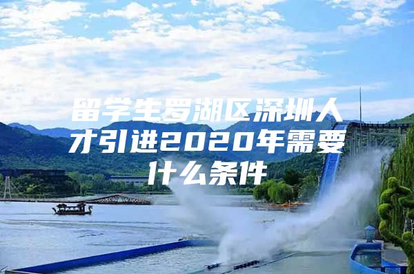 留学生罗湖区深圳人才引进2020年需要什么条件