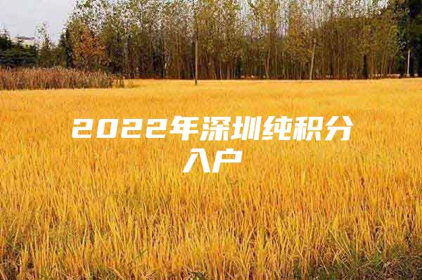 2022年深圳纯积分入户