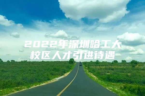 2022年深圳哈工大校区人才引进待遇