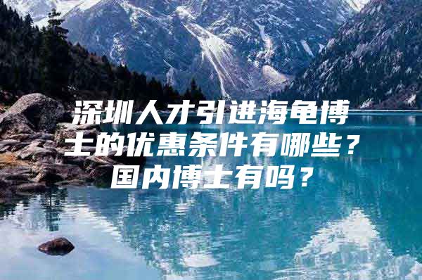 深圳人才引进海龟博士的优惠条件有哪些？国内博士有吗？