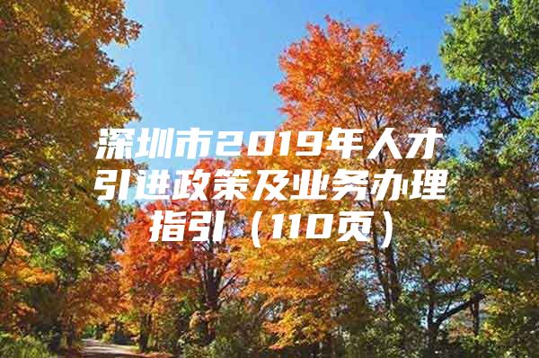 深圳市2019年人才引进政策及业务办理指引（110页）