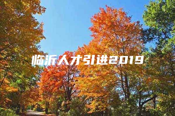 临沂人才引进2019