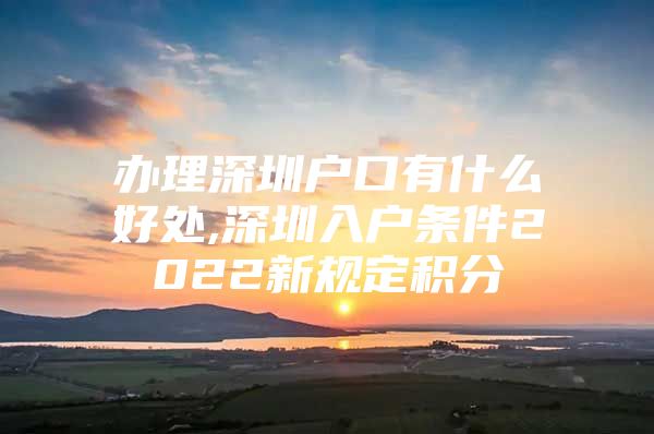 办理深圳户口有什么好处,深圳入户条件2022新规定积分