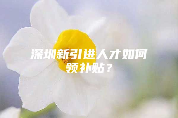 深圳新引进人才如何领补贴？