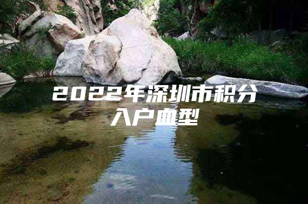 2022年深圳市积分入户血型