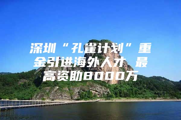 深圳“孔雀计划”重金引进海外人才 最高资助8000万