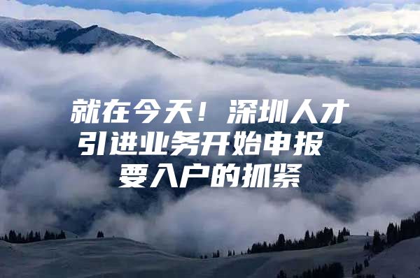 就在今天！深圳人才引进业务开始申报 要入户的抓紧