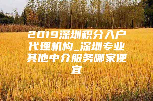 2019深圳积分入户代理机构_深圳专业其他中介服务哪家便宜