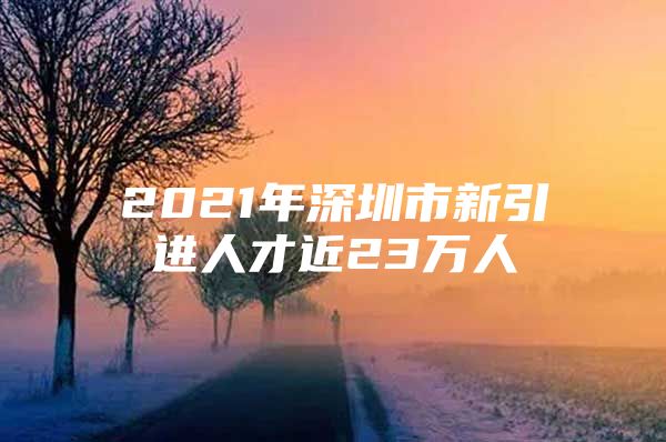 2021年深圳市新引进人才近23万人