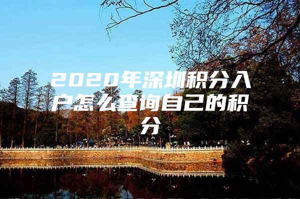 2020年深圳积分入户怎么查询自己的积分