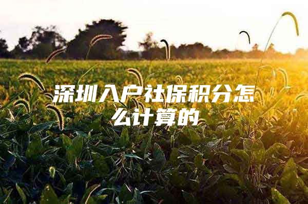 深圳入户社保积分怎么计算的