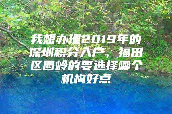 我想办理2019年的深圳积分入户，福田区园岭的要选择哪个机构好点