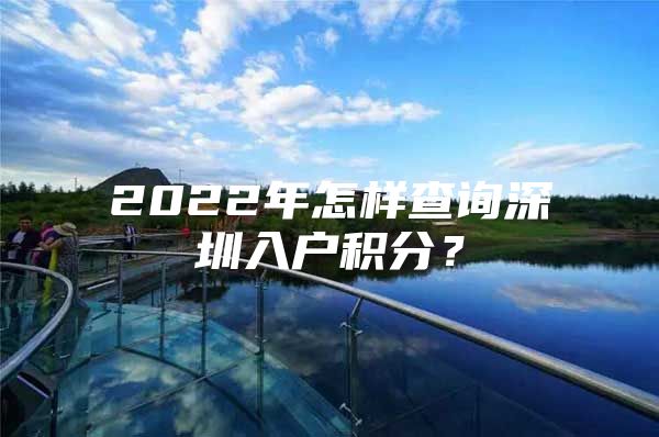 2022年怎样查询深圳入户积分？