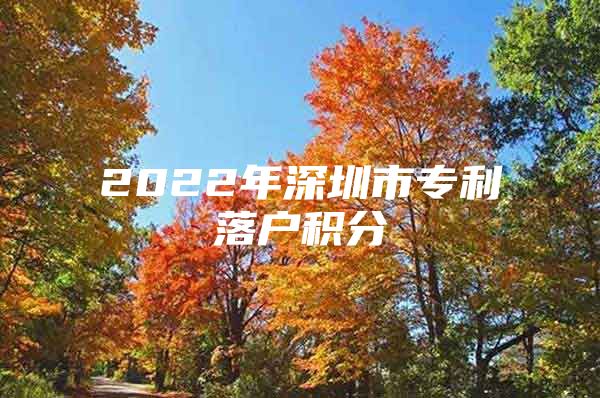 2022年深圳市专利落户积分