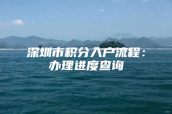 深圳市积分入户流程：办理进度查询