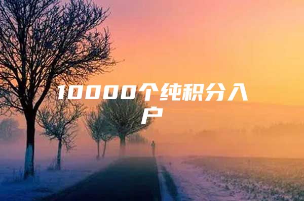 10000个纯积分入户