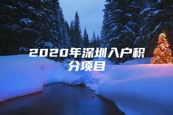 2020年深圳入户积分项目