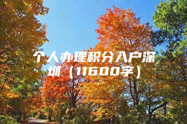 个人办理积分入户深圳（11600字）