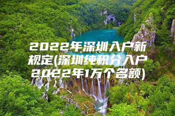 2022年深圳入户新规定(深圳纯积分入户2022年1万个名额)