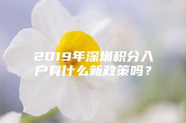 2019年深圳积分入户有什么新政策吗？