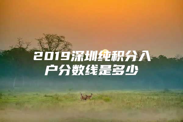 2019深圳纯积分入户分数线是多少